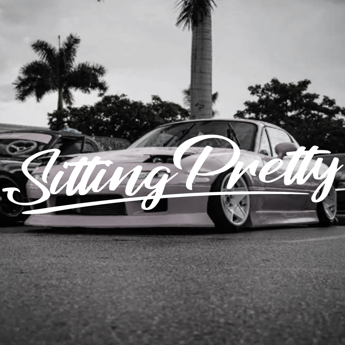 Sitting Pretty